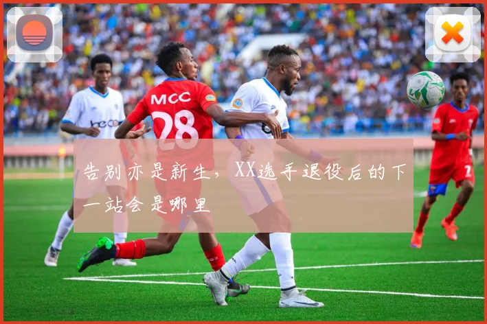 告别亦是新生,XX选手退役后的下一站会是哪里