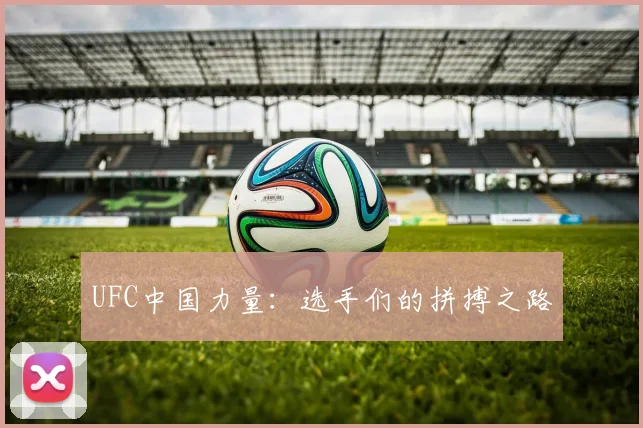UFC中国力量：选手们的拼搏之路