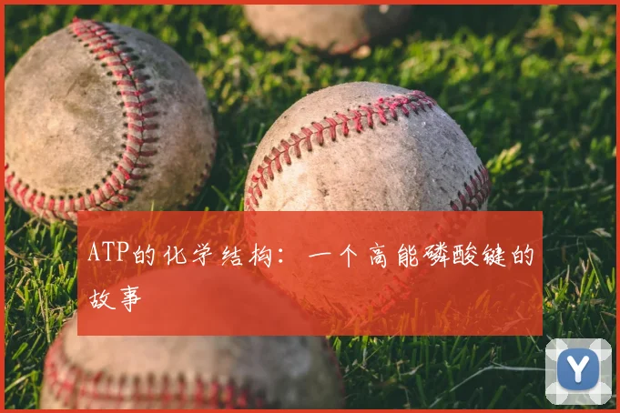 ATP的化学结构:一个高能磷酸键的故事