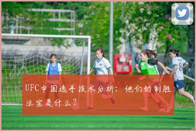 UFC中国选手技术分析：他们的制胜法宝是什么？