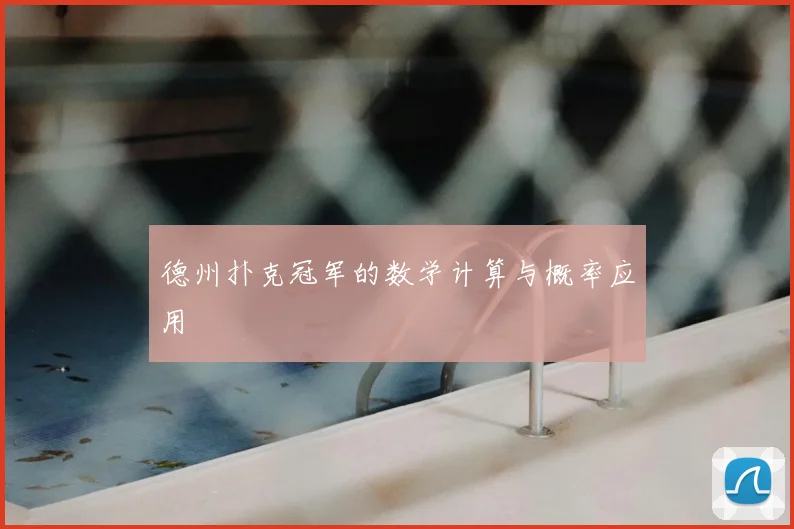 德州扑克冠军的数学计算与概率应用