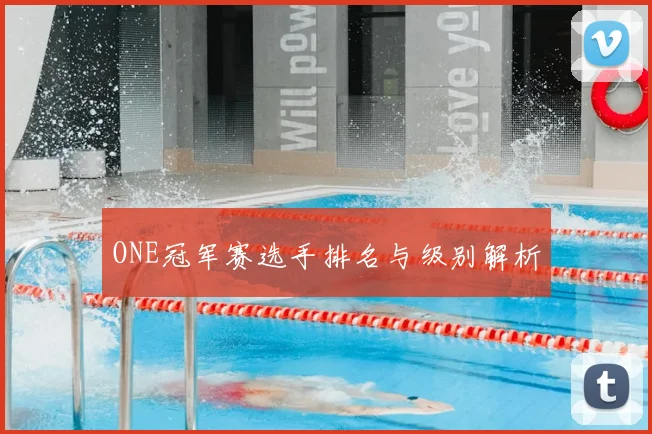 ONE冠军赛选手排名与级别解析
