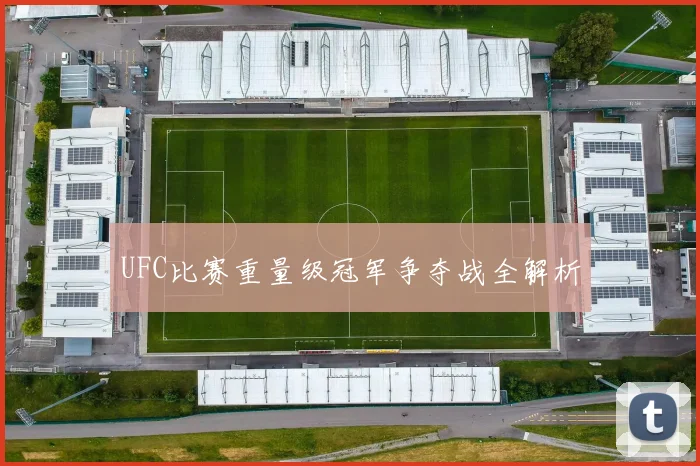UFC比赛重量级冠军争夺战全解析