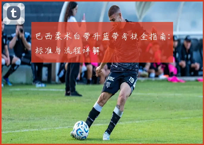 巴西柔术白带升蓝带考核全指南：标准与流程详解