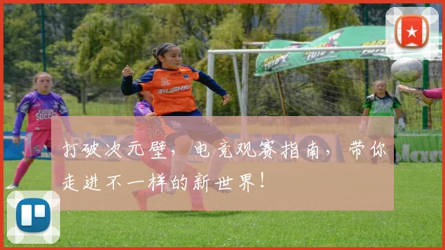 打破次元壁,电竞观赛指南,带你走进不一样的新世界!