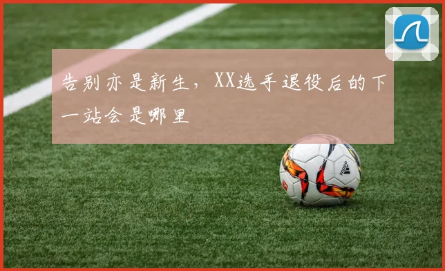 告别亦是新生，XX选手退役后的下一站会是哪里