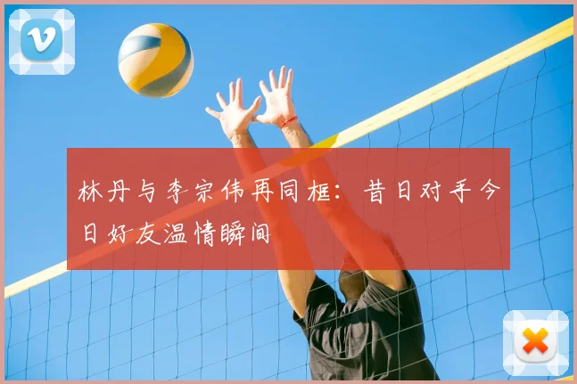 林丹与李宗伟再同框:昔日对手今日好友温情瞬间
