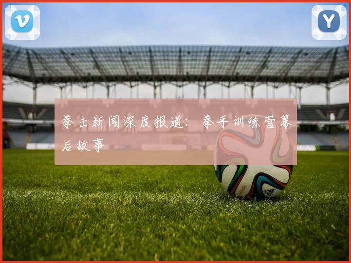 拳击新闻深度报道:拳手训练营幕后故事
