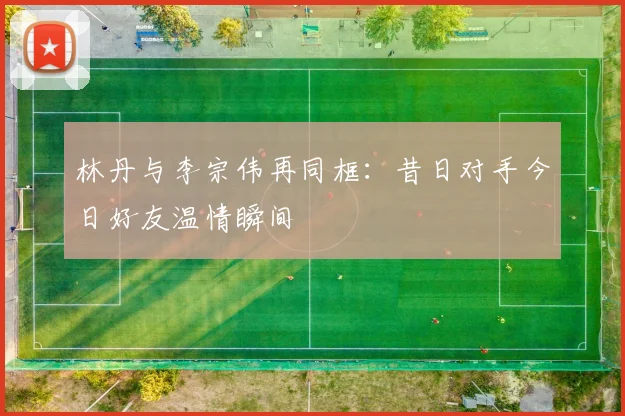 林丹与李宗伟再同框:昔日对手今日好友温情瞬间